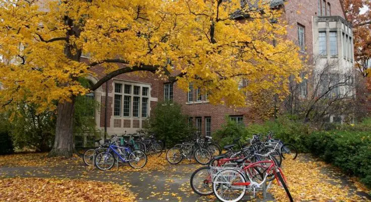 Interesting Facts About Ivy League Schools