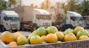 A Brief Overview of the Food Supply Chain