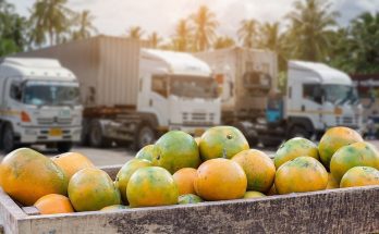 A Brief Overview of the Food Supply Chain