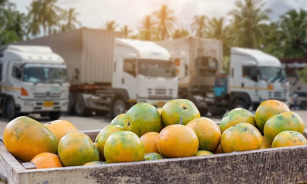 A Brief Overview of the Food Supply Chain