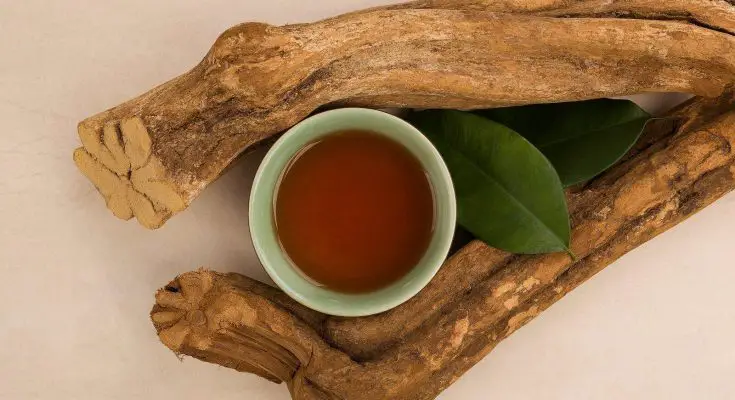 How is Ayahuasca utilized?