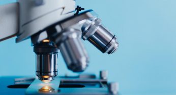 How Studying Biology Can Help You Get a Job