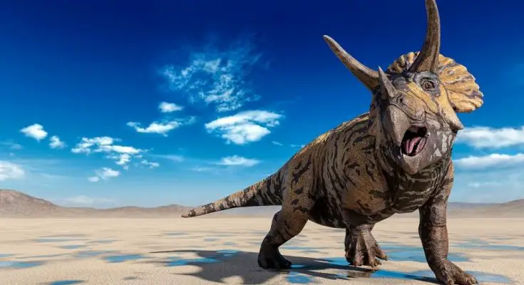 For Dino-Lovers: Interesting Facts About Triceratops