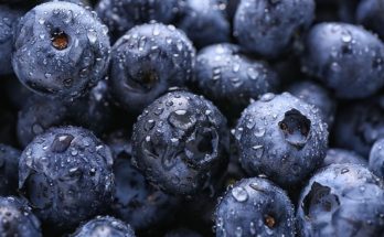 Reasons Why You Should Eat Blueberries Every Day