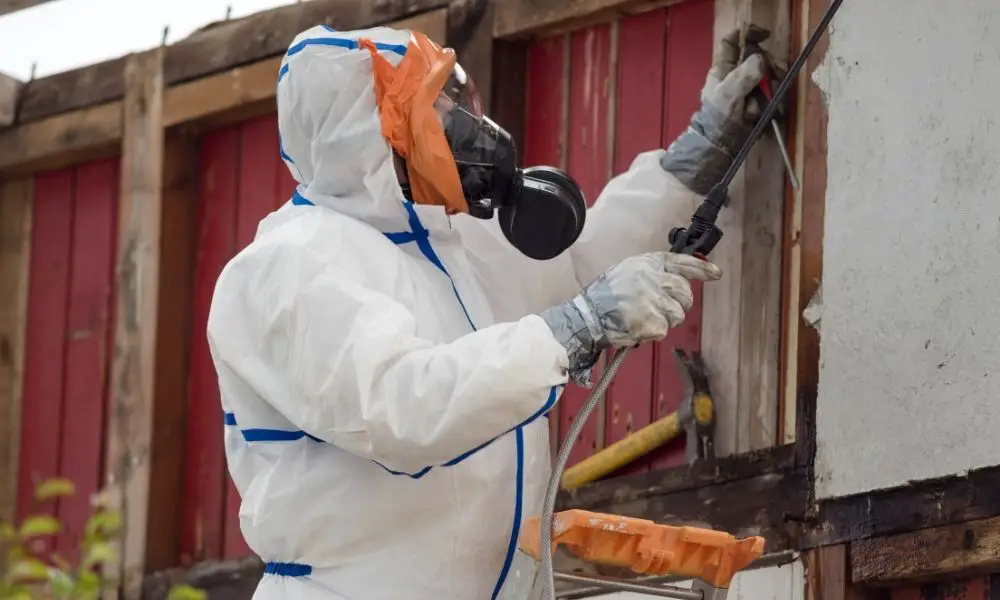 Common Health Hazards To Look For in Your Home