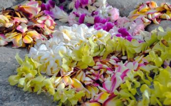 Most Popular Types of Hawaiian Leis and Their Differences