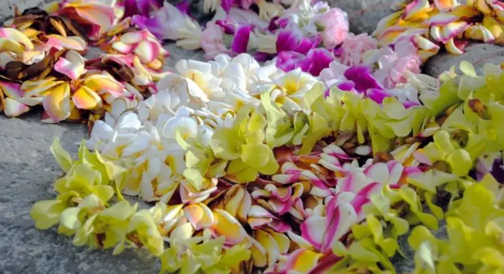 Most Popular Types of Hawaiian Leis and Their Differences