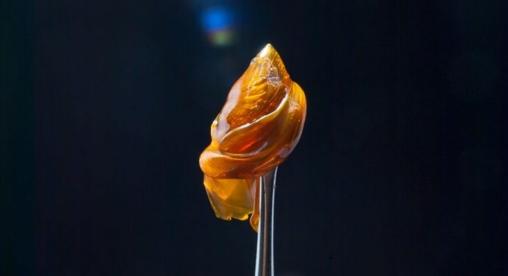 The Difference Between Cannabis Extracts and Concentrates