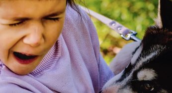 What To Do if Your Child Is Bit at a Dog Park