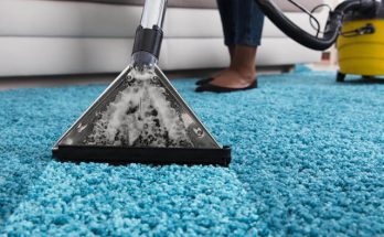 professional carpet cleaning service