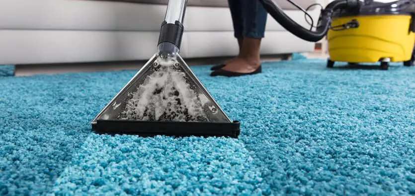 professional carpet cleaning service