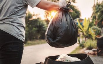 5 Interesting Facts About Waste Management