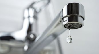 What You Need To Know About Tannins in Your Water