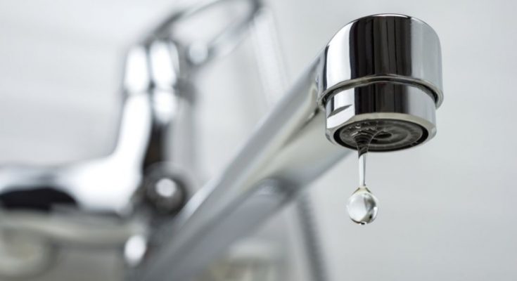 What You Need To Know About Tannins in Your Water