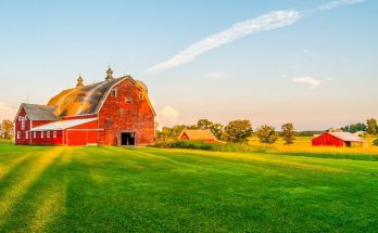 Ways To Increase Efficiency on Your Farm