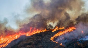 Igniting the Flame: Interesting Ways Wildfires Start