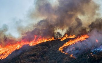 Igniting the Flame: Interesting Ways Wildfires Start