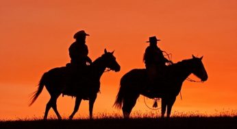 Fun and Interesting Facts About Cowboys You Need To Know