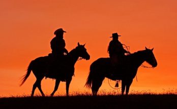 Fun and Interesting Facts About Cowboys You Need To Know