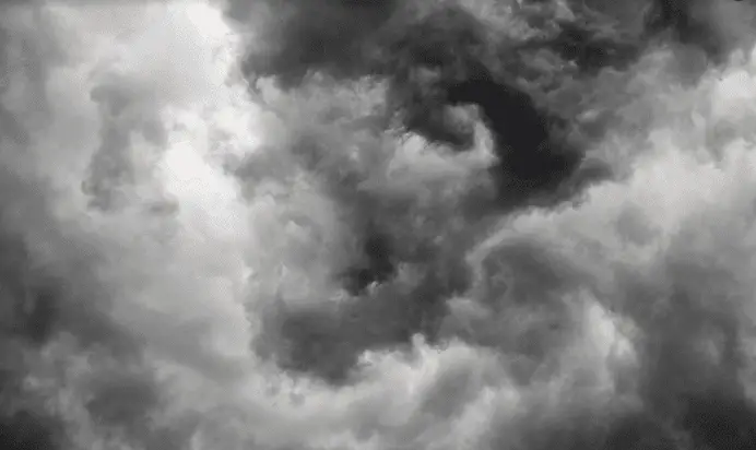 protect business from natural disaster