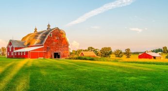 Tips To Follow When Starting Your Own Farm