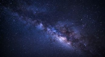 The Most Interesting Objects To Ever Fly to Space