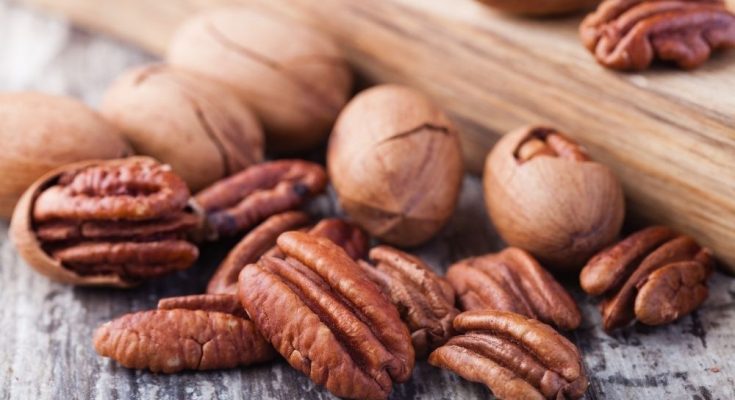 5 Interesting Facts You Didn’t Know About Pecans