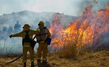Structure vs. Wildland Firefighters: How Are They Different?