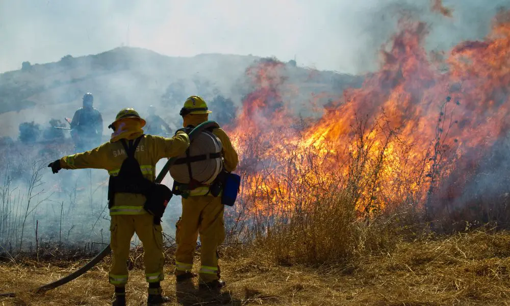 Structure vs. Wildland Firefighters: How Are They Different?