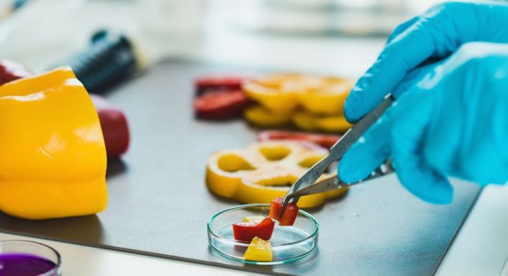 How We Test Our Food To Ensure It’s Safe