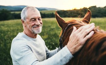 Different Ways Horses Benefit People and Communities