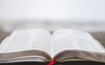 What Are the Most Popular Bible Translations and Why?