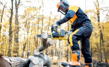 Safety Tips for Working in the Logging Industry