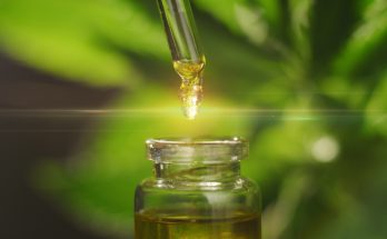 thc free cbd oil