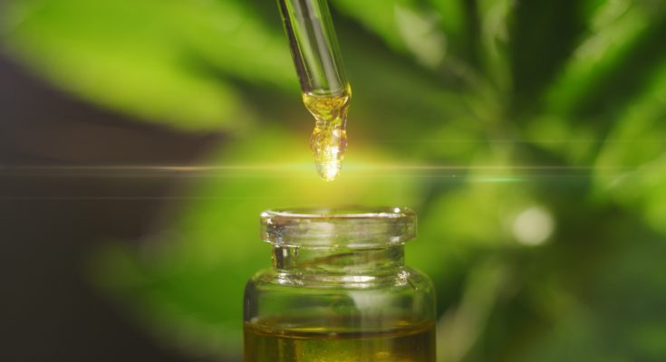 thc free cbd oil