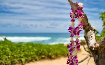 5 Unique Cultural Funeral Traditions From Around the World