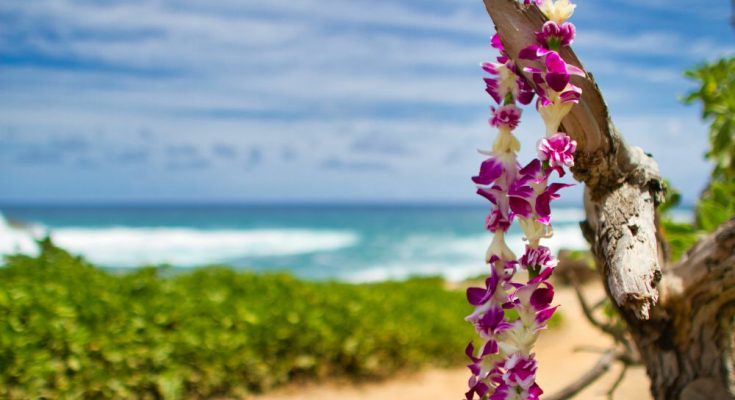 5 Unique Cultural Funeral Traditions From Around the World