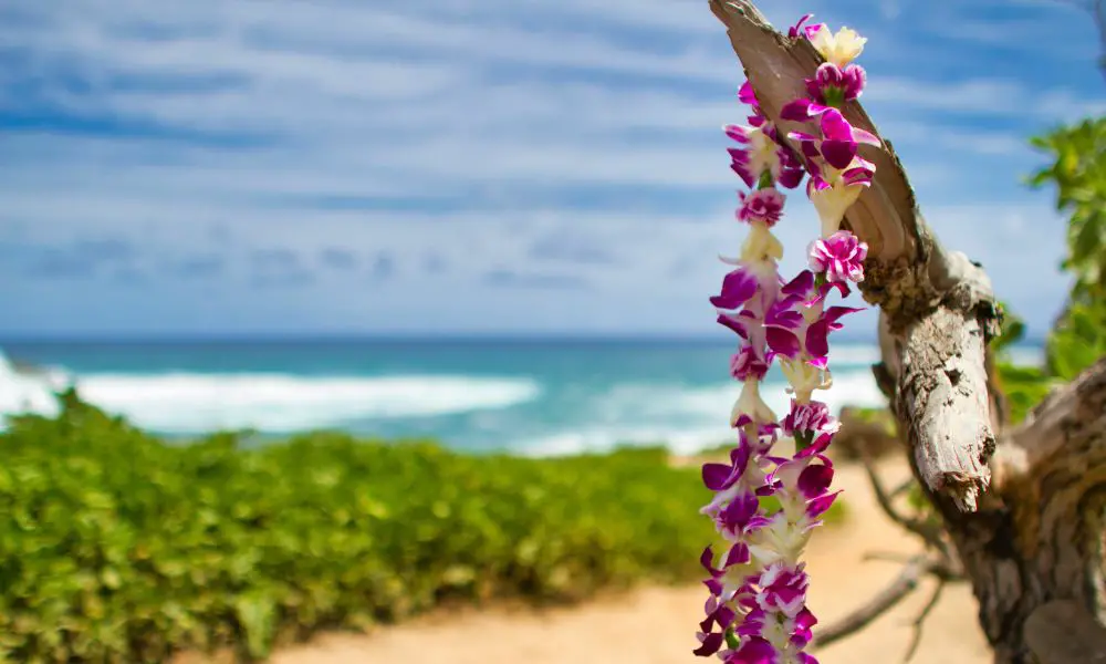 5 Unique Cultural Funeral Traditions From Around the World