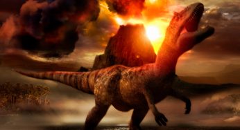 Why Did The Earth’s Biggest Animals Dinosaurs Died?