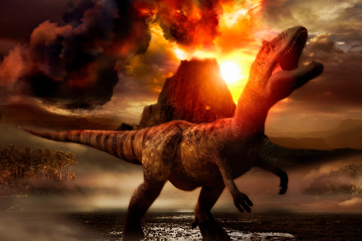 Dinosaurs Died