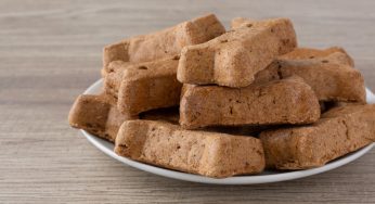 Fun Fall Treats You Can Make for Your Dog