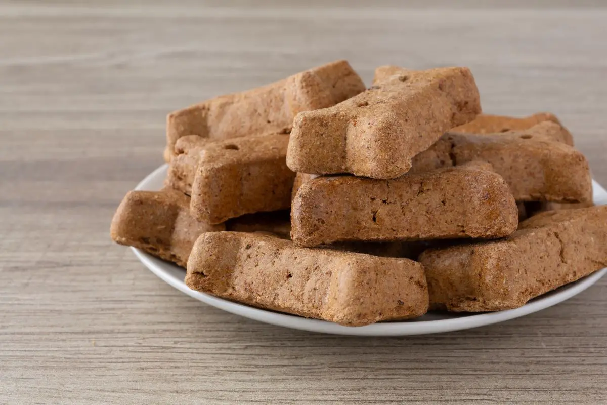 Fun Fall Treats You Can Make for Your Dog