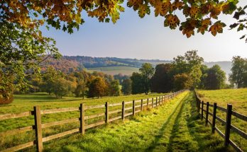 The Advantages of Growing Up in the Countryside
