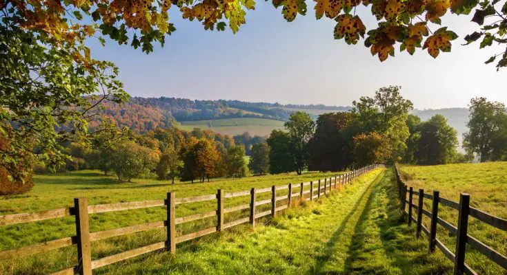 The Advantages of Growing Up in the Countryside