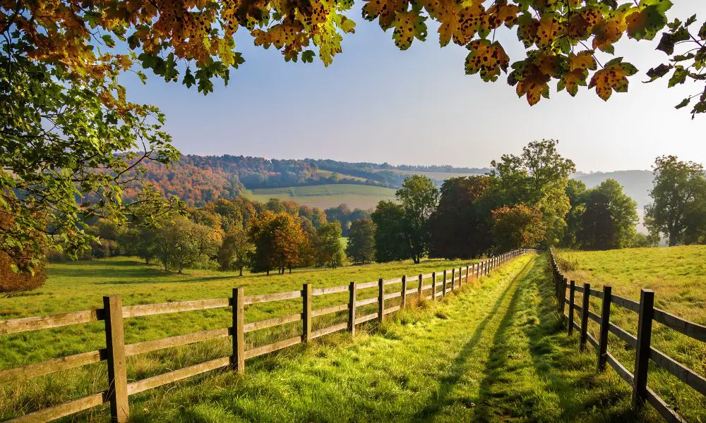 The Advantages of Growing Up in the Countryside