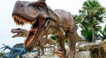 3 Interesting and Fun Dinosaur Facts You Didn’t Know