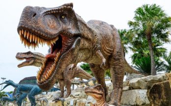 3 Interesting and Fun Dinosaur Facts You Didn’t Know