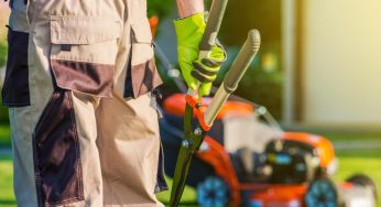 Gardener Near Me: How To Choose a Gardener