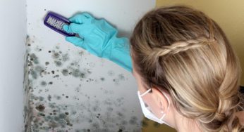 Mold Exposure Symptoms You Need to Know