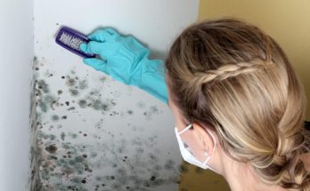 Mold Exposure Symptoms